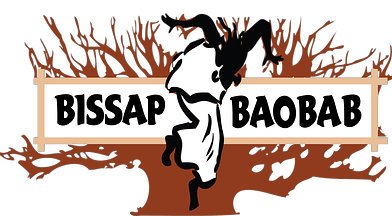 Little Baobab - Bissap Baobab Picture